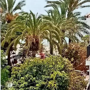Appartement Old Town, Estepona